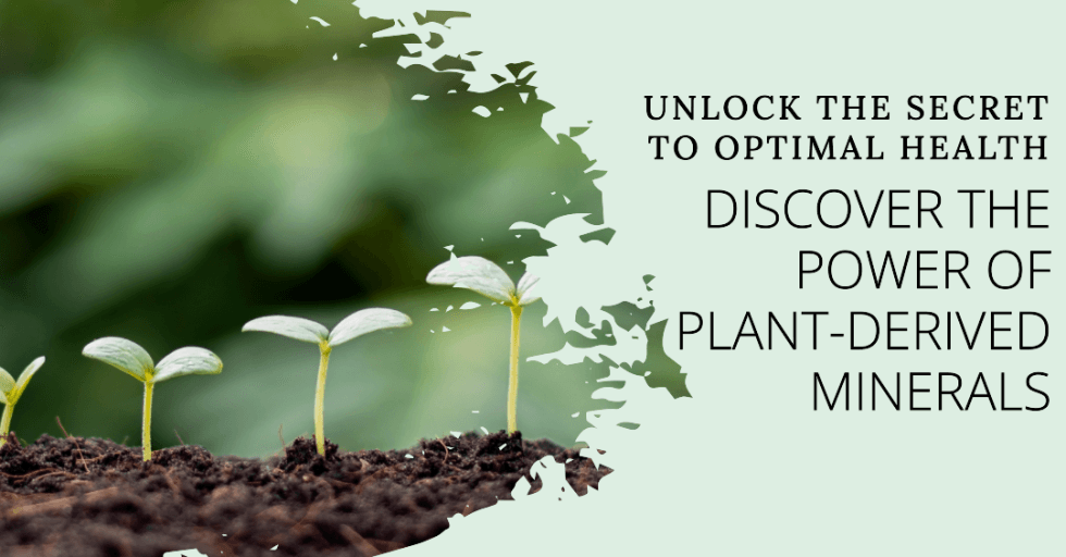 Nurturing Health With Natural Plantderived Minerals